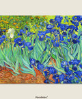 PieceRelax - Irises - PieceClicks 1008 Pieces [U1111] - Vincent Van Gogh